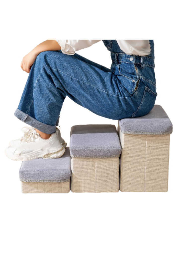 Escada Baú Para Pets