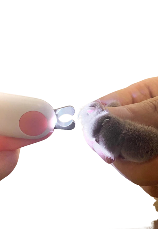 Cortador de Precisão e Lanterna de Inspeção Auricular