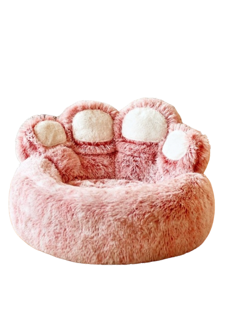 Caminha Pata de Urso