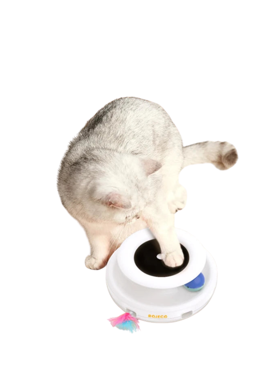 Puzzle Eletrônico 2 em 1 de Alta Performance