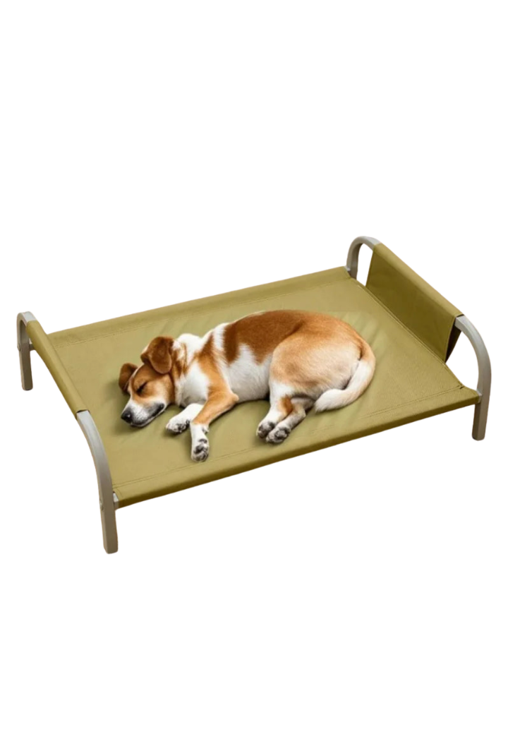 Caminha Suspensa Antiumidade