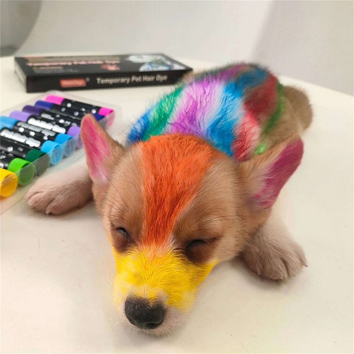 Canetas de Tintura Temporária Pet