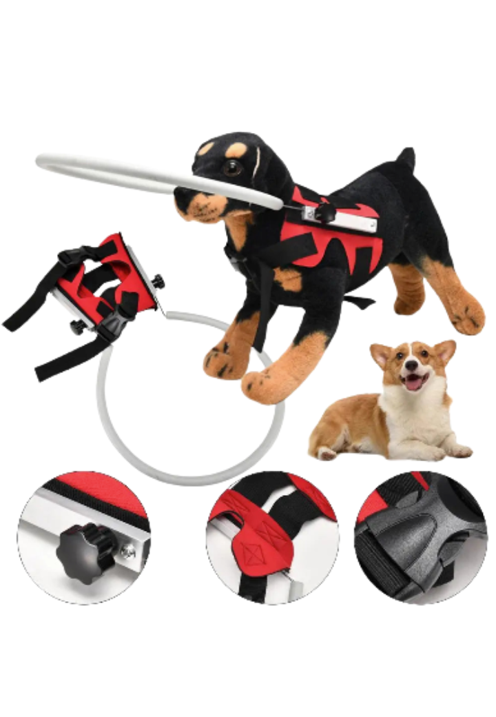 Guia Anticolisão para Cães Cegos