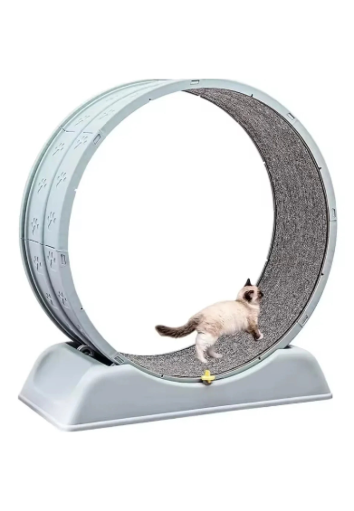 Roda de Exercícios para Gatos