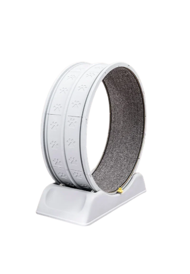 Roda de Exercícios para Gatos