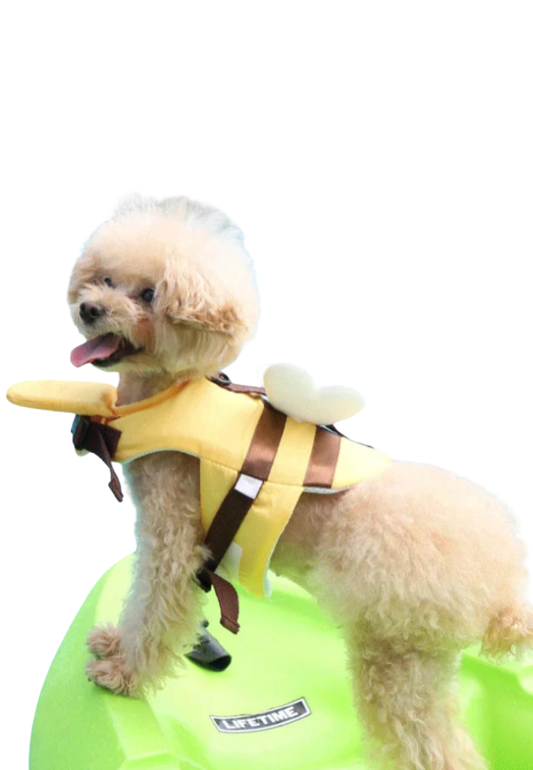 Colete Salva-Vidas Pet