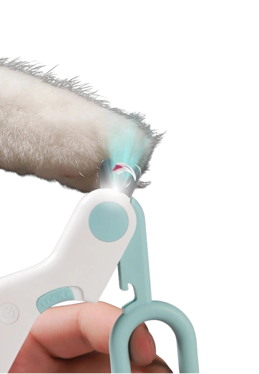 Cortador de Precisão e Lanterna de Inspeção Auricular