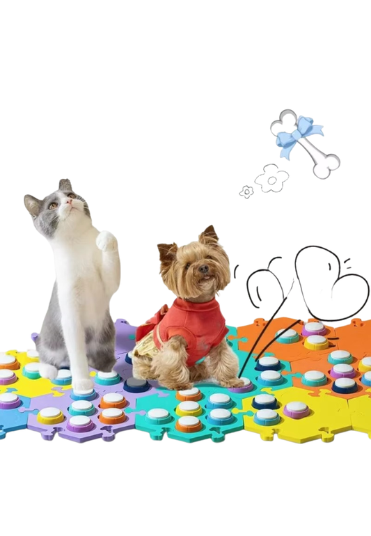 Botões de Comunicação Para Treinamento