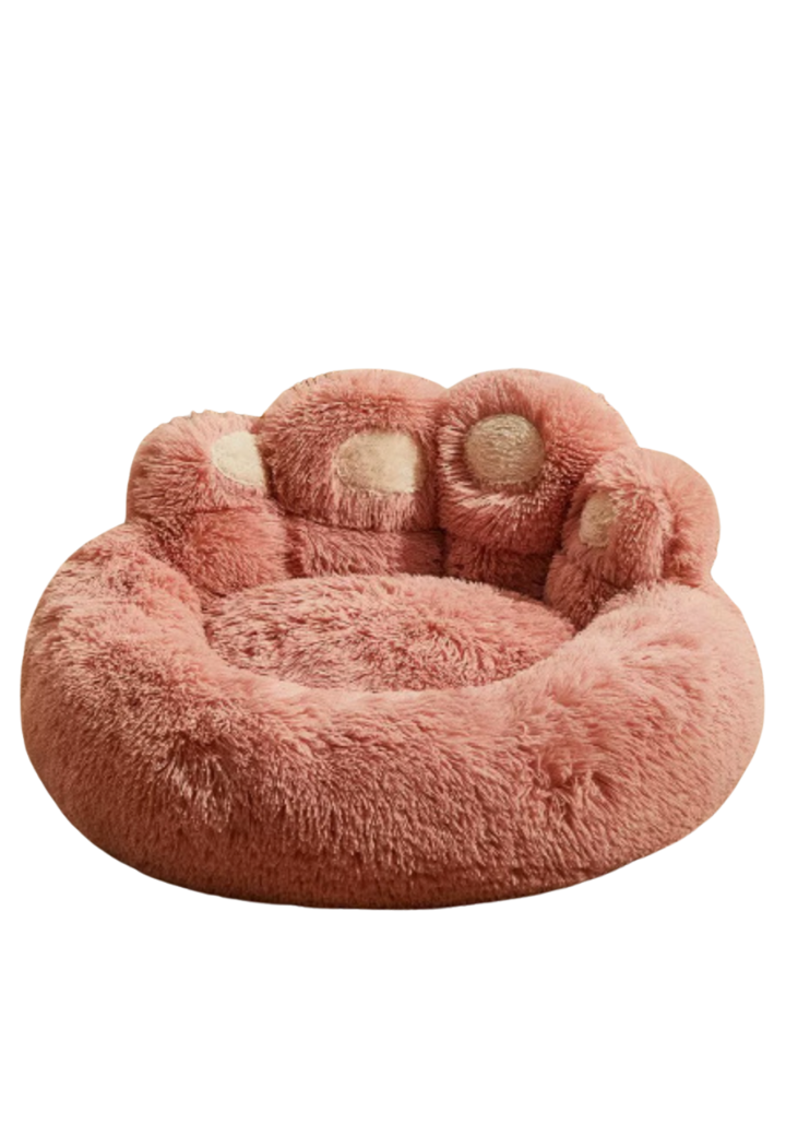 Caminha Pata de Urso