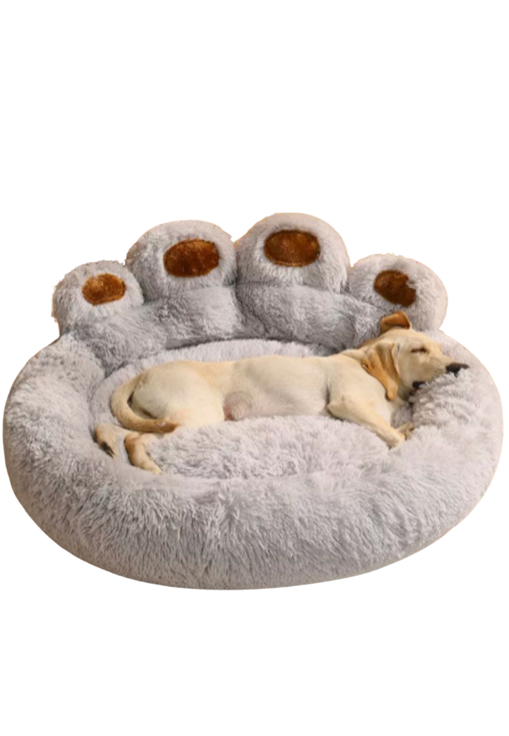 Caminha Pata de Urso