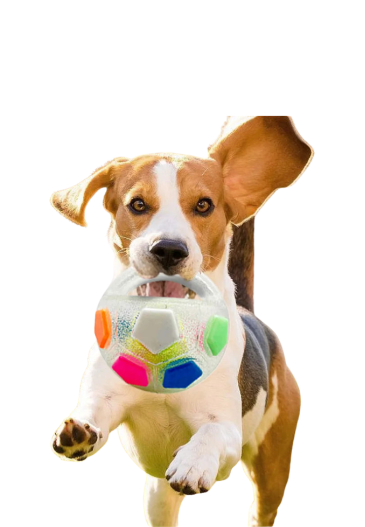 Bola Mordedor Durável Com Som