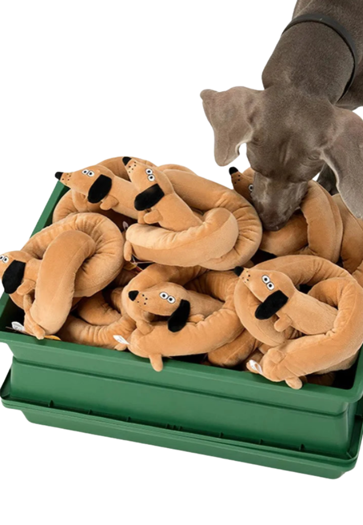 Pelúcia de Salsicha