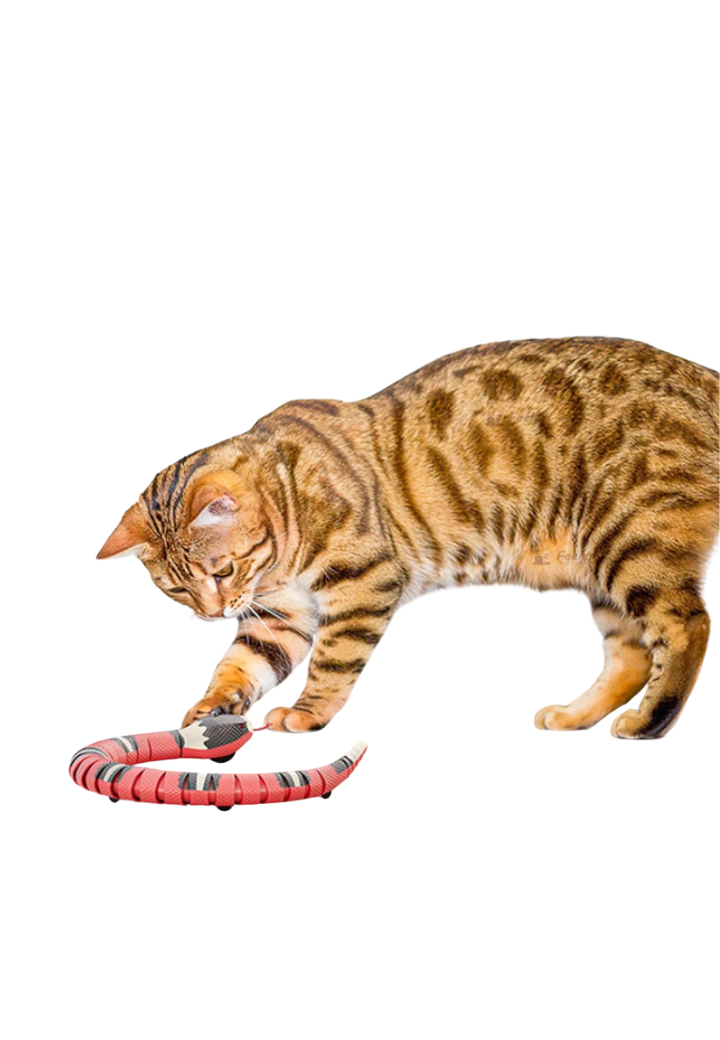 Cobra Interativa Smart