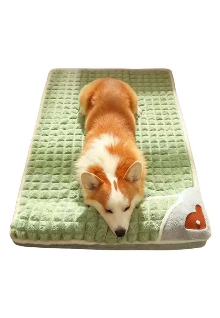 Colchão Ortopédico Pet