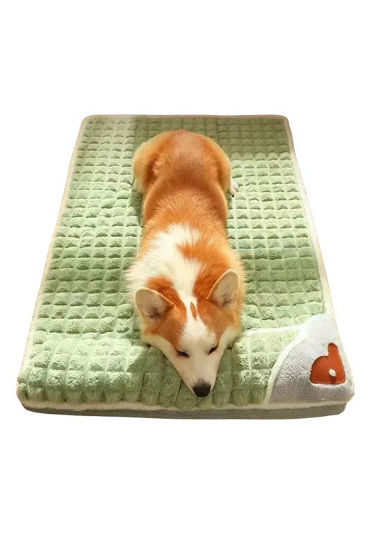 Colchão Ortopédico Pet