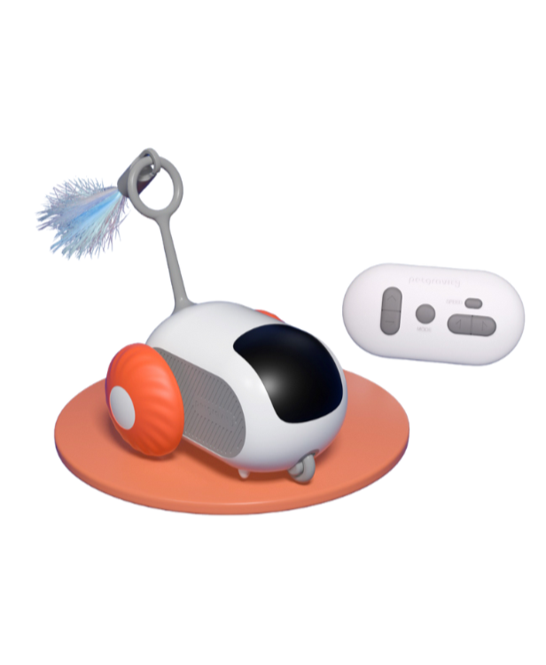 Carrinho Elétrico Interativo