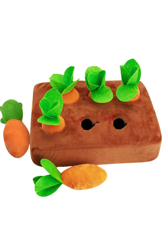 Horta de Cenouras e Petiscos