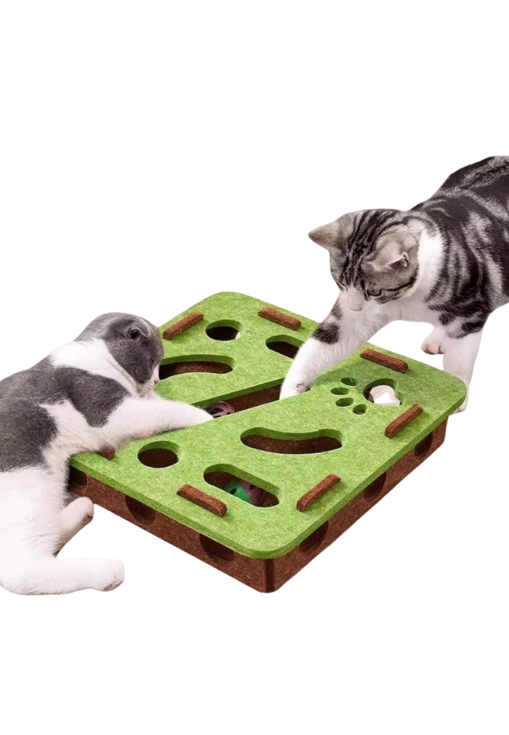 Caixa Puzzle Interativa