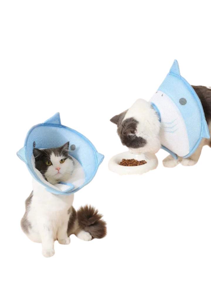 Cone Macio de Recuperação