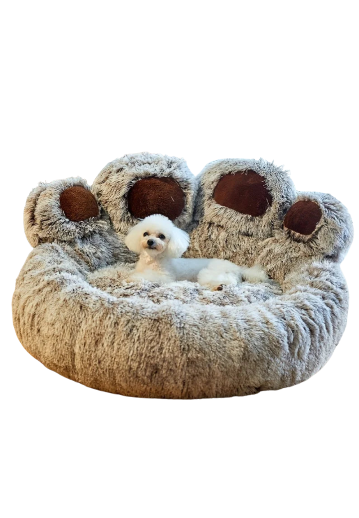 Caminha Pata de Urso