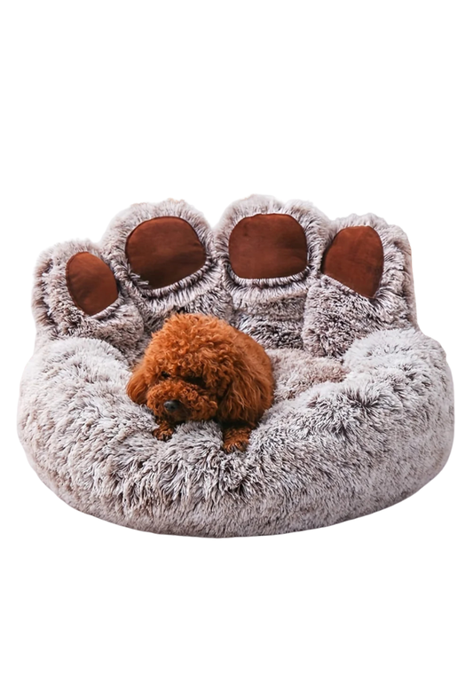 Caminha Pata de Urso