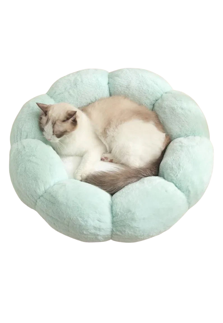 Cama Flor de Pelúcia