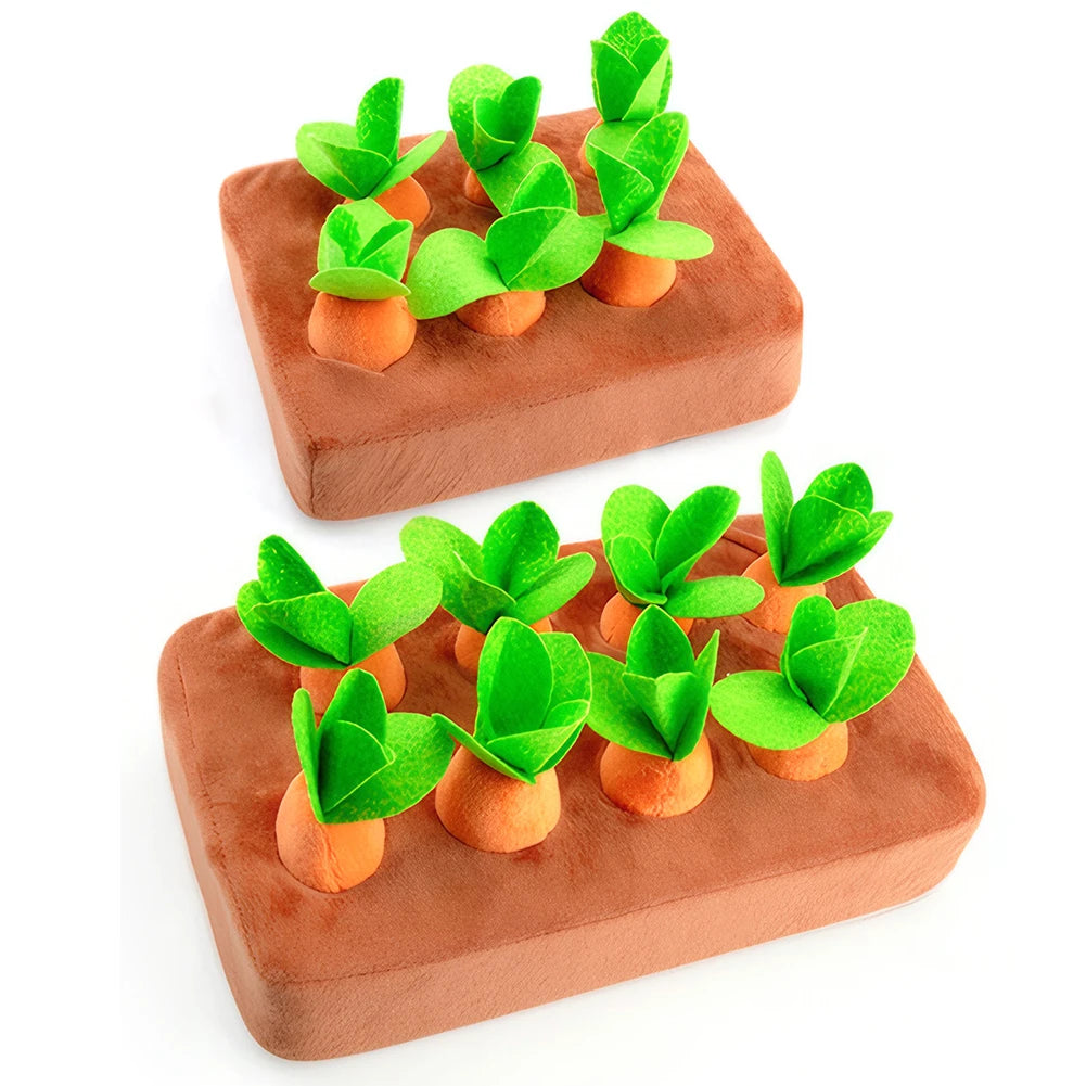 Horta de Cenouras e Petiscos