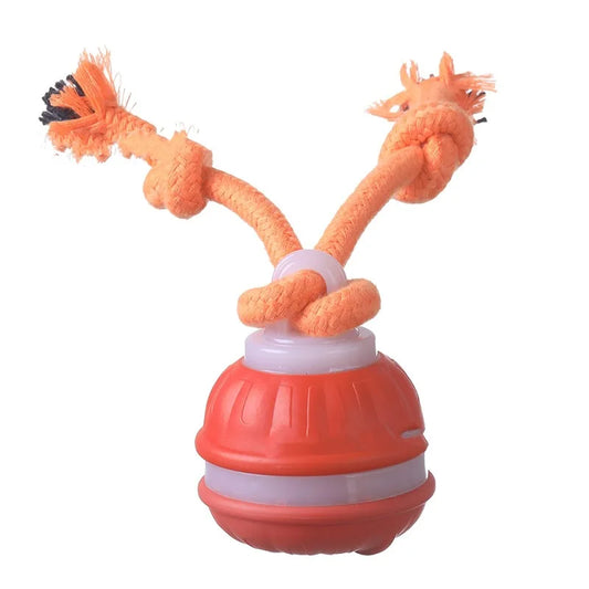 Bolinha Automática Recarregável